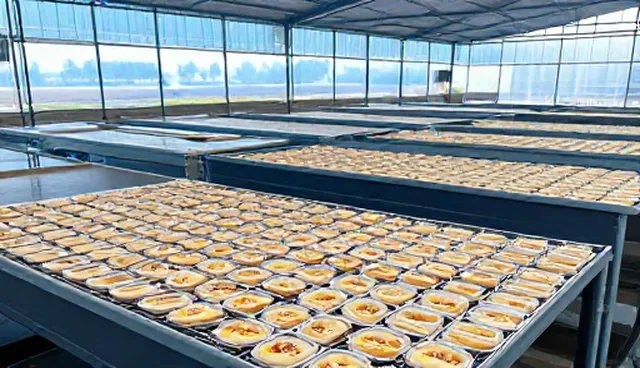 食品销售服务中的需求反馈机制比较与适用条件分析