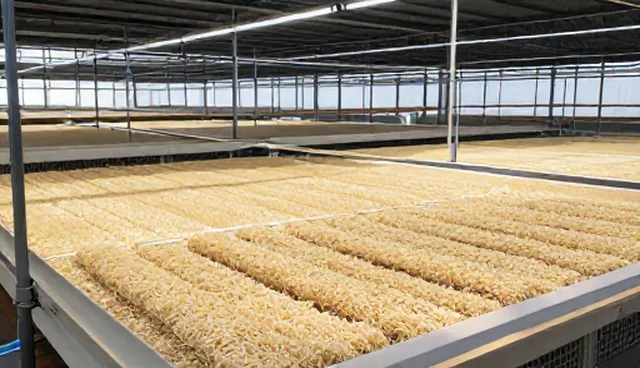 食品分装场景中的质量管控要点分析